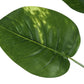 54" Tall Artificial Dieffenbachia Tree Indoor Faux Floor Plant