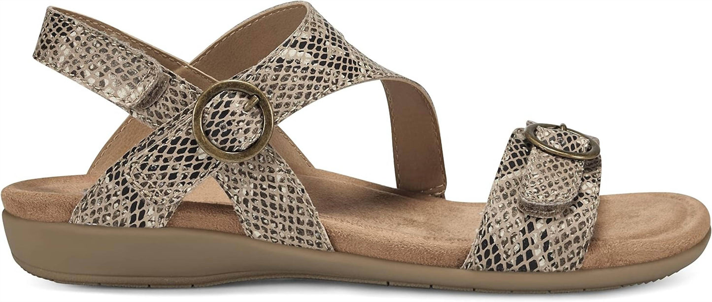 Earth Origins - Women’s Beck Strappy Leather Sandal