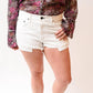 Askk Ny - Denim Beach Short