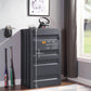 Cargo Ample Storage Chest