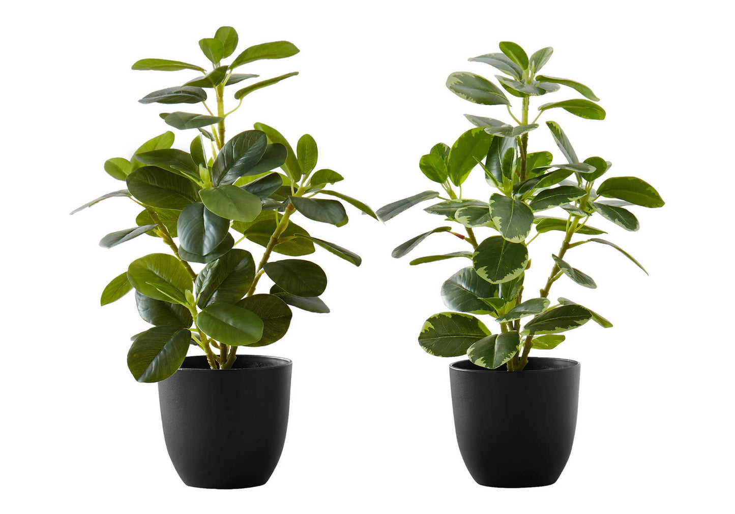 14" Tall Artificial Ficus Plant Set of 2