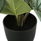 13" Tall Artificial Epipremnum Plants Set of 2