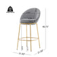 Celano Indoor Metal Upholstered Barstool Set of 2