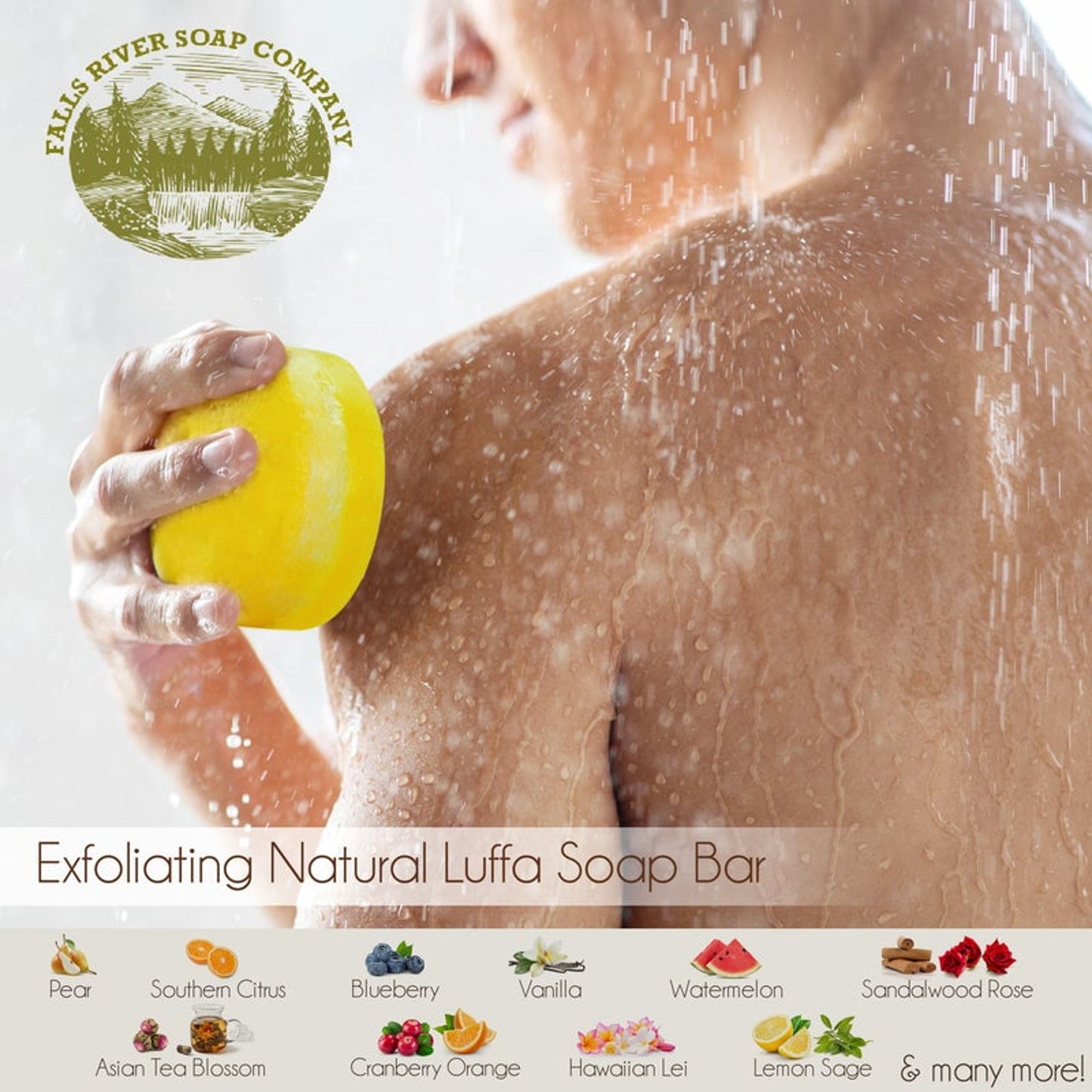 Barra de sabonete bucha vegetal Falls River Soap, luxuosa e artesanal, vegana, sem glúten e sem crueldade - Açúcar de baunilha quente, 5 oz