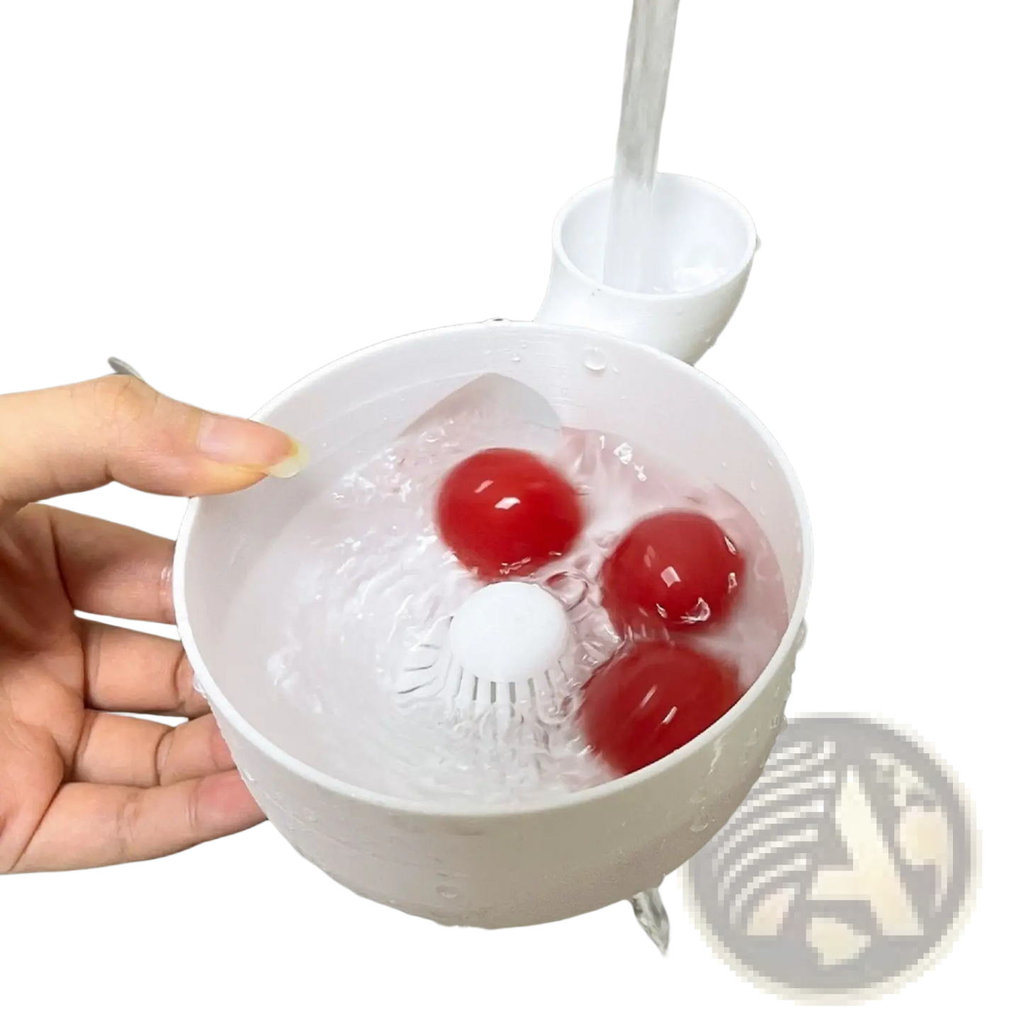 Fruit Washing Bowl and Citrus Juicer Set