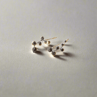 Brincos Floral Whispers em Ouro Branco