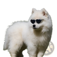Heart Shaped Fashion Sunglasses for Pets and Dolls