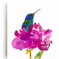 Hummingbird in a Peony Art Print Vibrant Floral and Bird Wall Décor