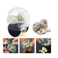 Ergonomic Clear Garlic Press and Mincer with Precision Blades