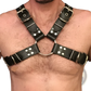 Leather Harness with Silver Buckles for Adults
