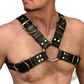 Leather Harness with Silver Buckles for Adults