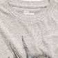 Camiseta masculina Epic Threads Little Boys Triceratops, cinza, tamanho 6