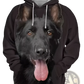 Men's 3d Dog Portrait Graphic Pullover Hoodie