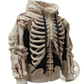 Men's Cream Skeletal Knit 3d Bone Pattern Hoodie