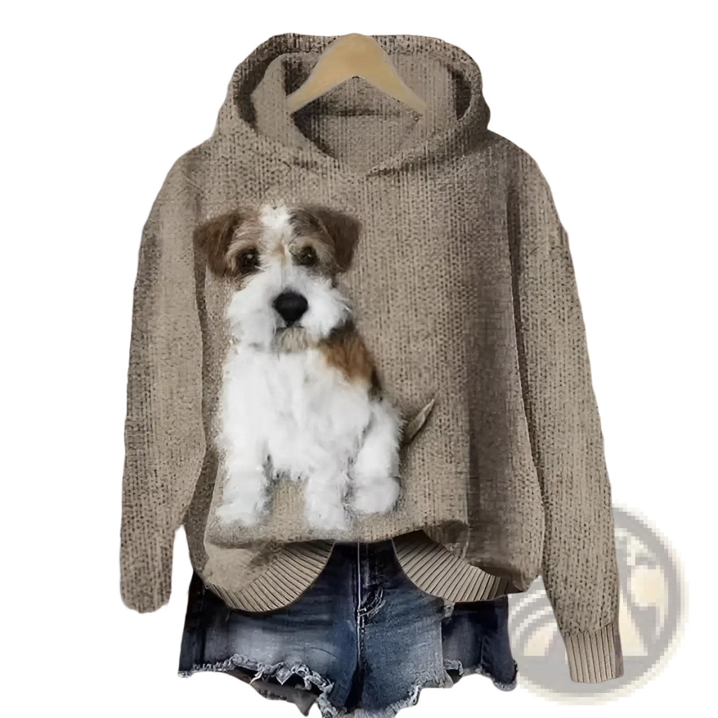 Men's Graphic Print Pullover Hooded Sweatshirt