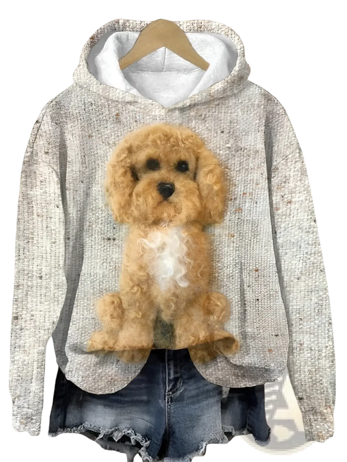 Men's Graphic Print Pullover Hooded Sweatshirt