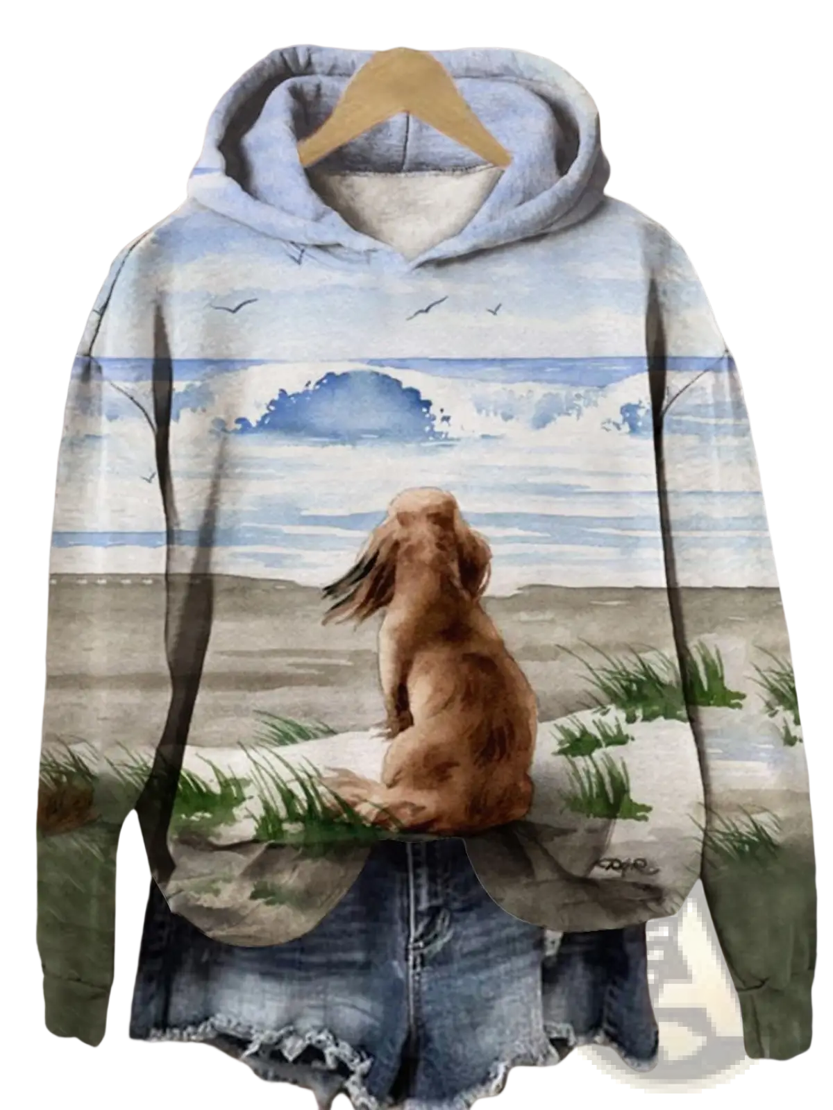 Men's Graphic Print Pullover Hooded Sweatshirt