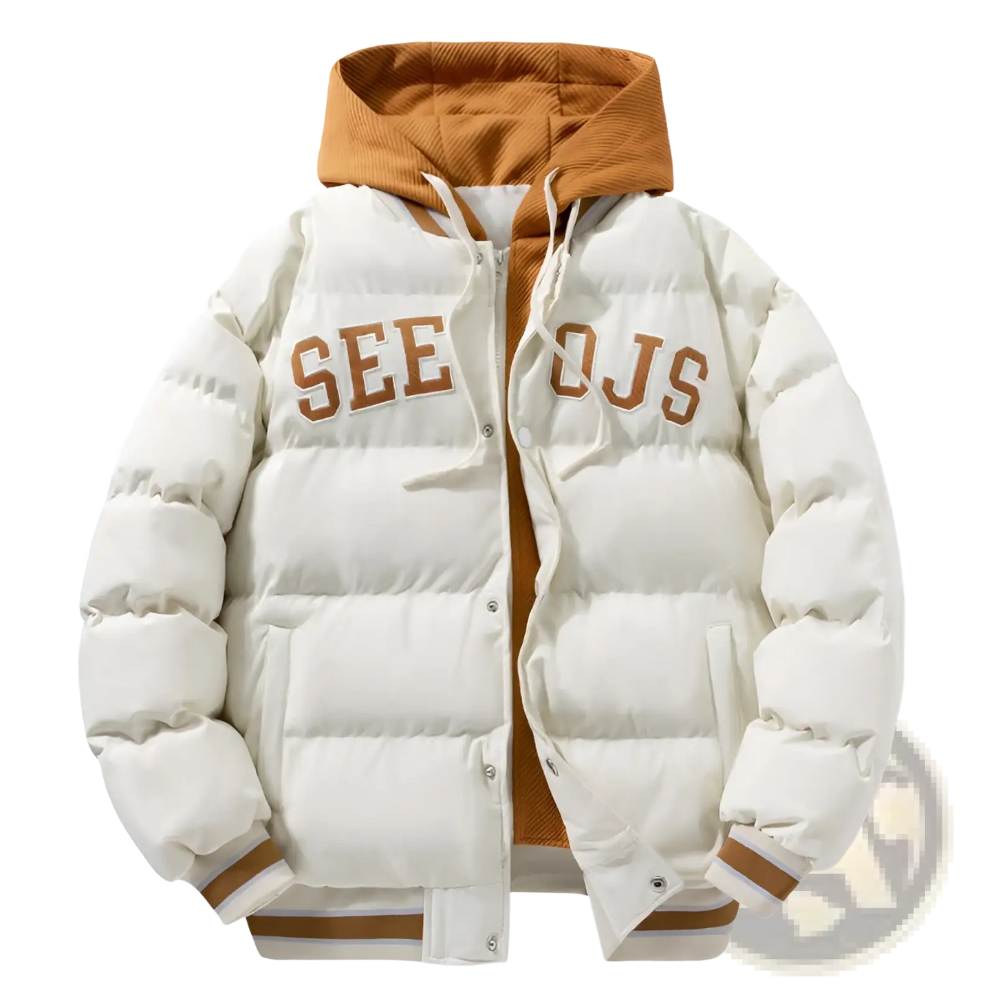 Men's Letter Print Hooded Puffer Jacket