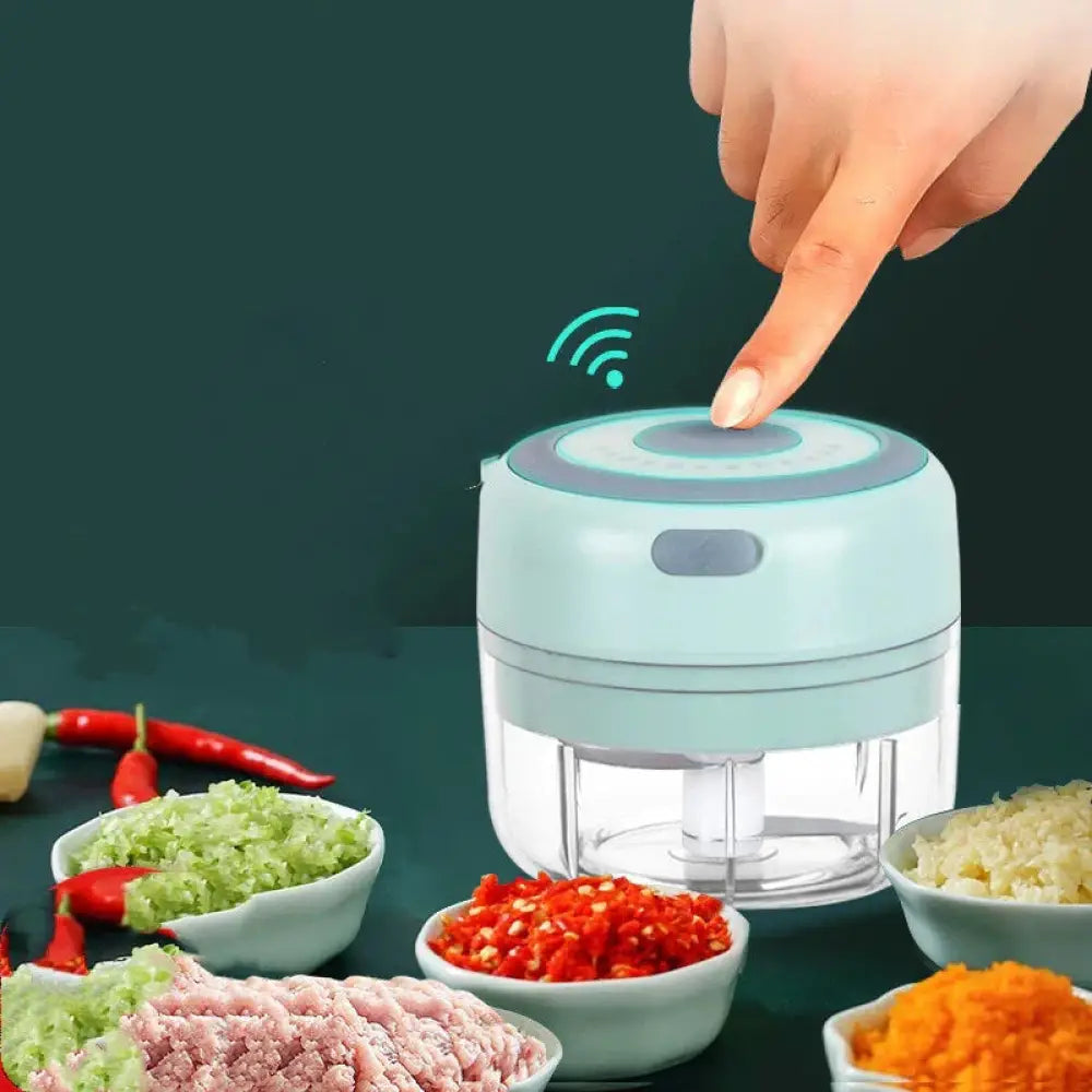 Usb Electric Mini Food Chopper and Garlic Mincer
