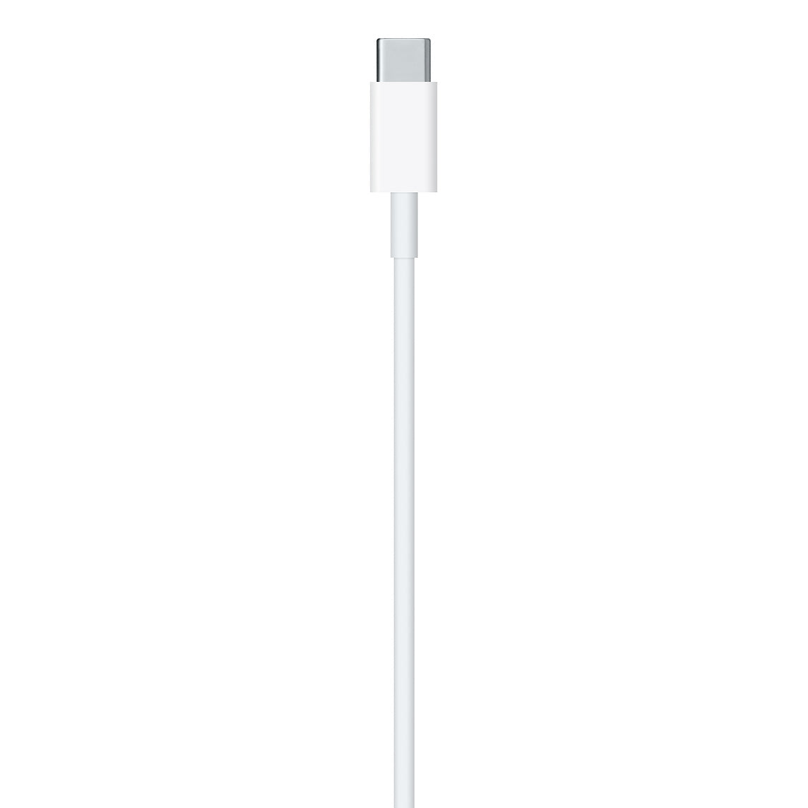Cabo Apple Lightning Macho para USB Tipo C Macho (2 m)