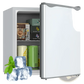 Modern 1.1 Cu.ft Compact Beauty and Skincare Freezer