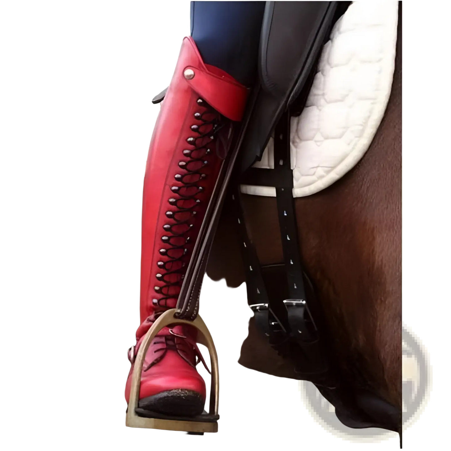 Over the Knee Leather Studded Riding Boots