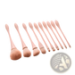 Pink Makeup Brush Set 10pc Professional Nylon Tools