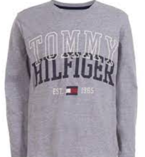 Camiseta Tommy Hilfiger Big Boy's com logotipo Tony, azul, tamanho G (16-18)