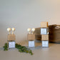 Caribbean Teakwood Car Diffuser