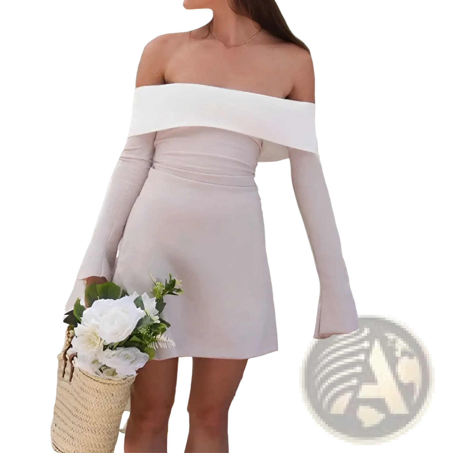 Off the Shoulder Contrast Mini Dress with Flared Sleeves