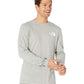 Camiseta The North Face Masculina Ls Box Nse Cinza Tamanho Grande