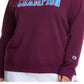 Moletom com estampa de logotipo Champion feminino roxo tamanho 3X
