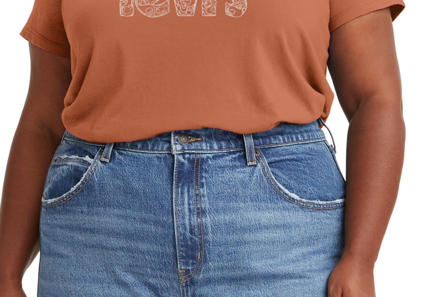 Camiseta Levi's Logo Perfect Feminina Marrom Tamanho 4X