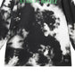 Camiseta masculina WeSC Kendrick Anxiety Release Tie Dye Cotton Graphic, preta, tamanho pequeno