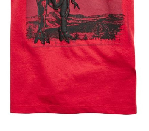 Camiseta infantil masculina T-Rex da Epic Threads, vermelha, tamanho 4T