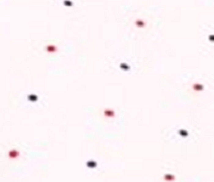 Lenço de bolso masculino One Wellington de bolinhas, tamanho regular, branco