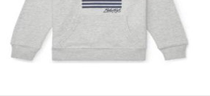 Moletom com capuz Ralph Lauren Little Boy's Bordado Terry Cotton Cinza Tamanho 5