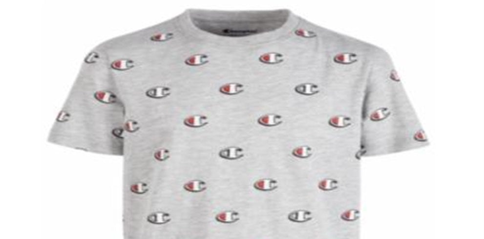 Camiseta estampada Champion Little Boy's cinza tamanho 4