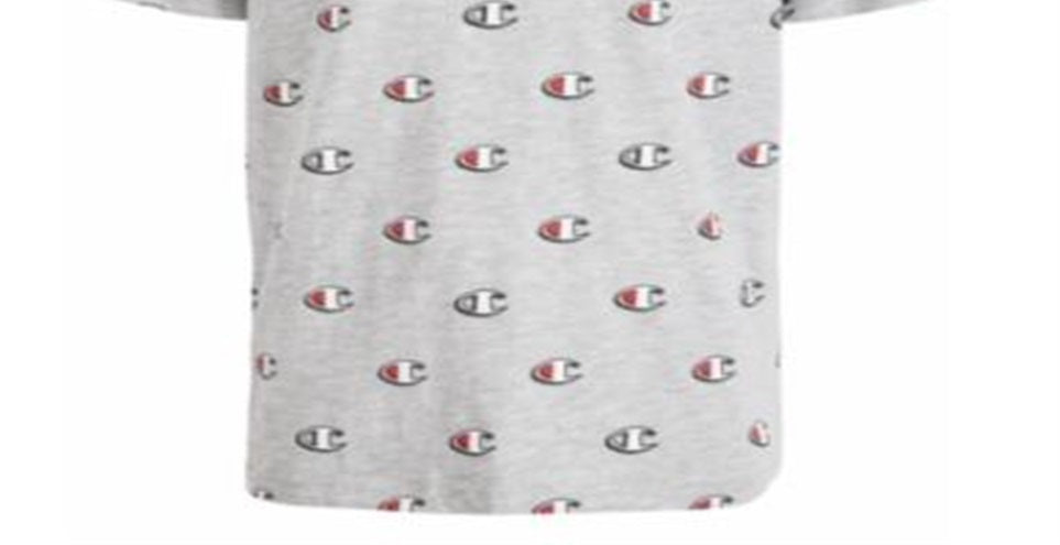 Camiseta estampada Champion Little Boy's cinza tamanho 4