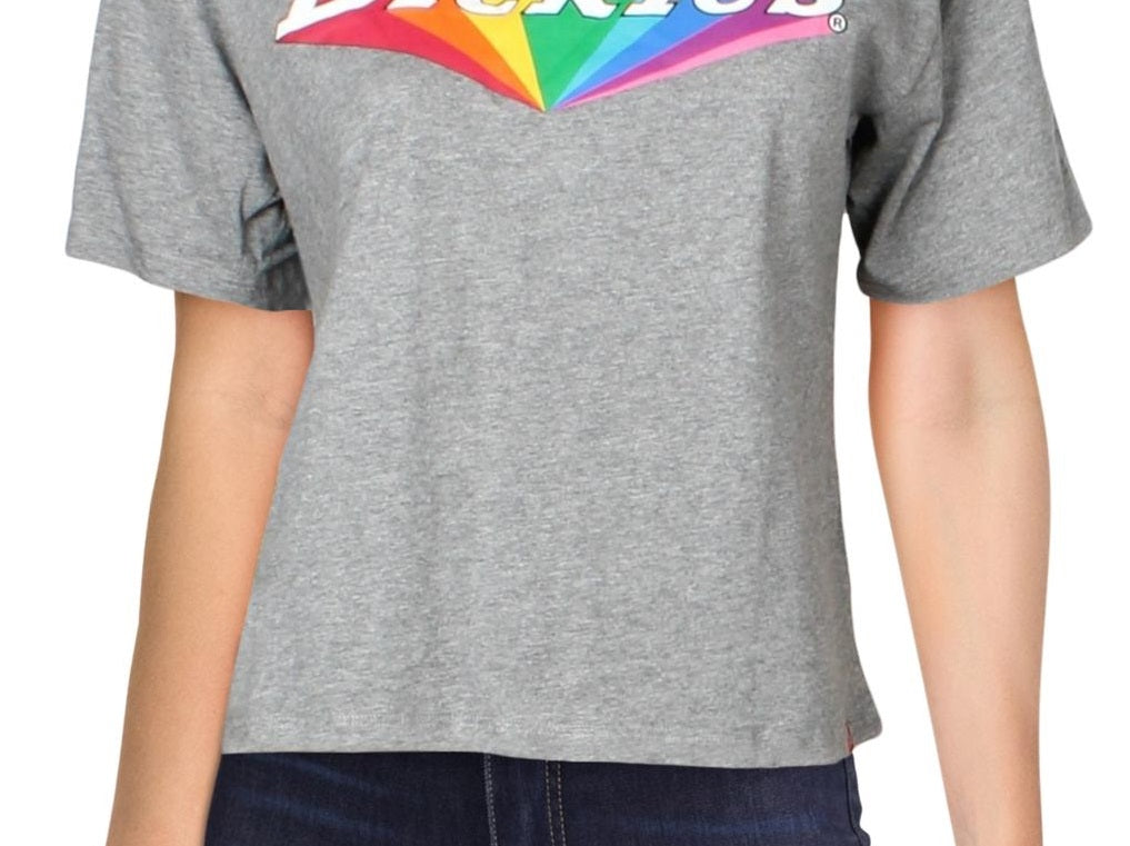 Camiseta Dickies Feminina Tomboy Cotton Rainbow Logo Cinza Tamanho XS