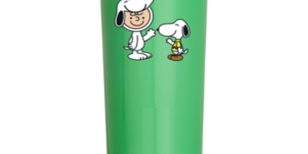 Cantil de aço inoxidável verde de 473 ml da Peanuts Collection Snoopy &amp; Charlie Brown, tamanho único