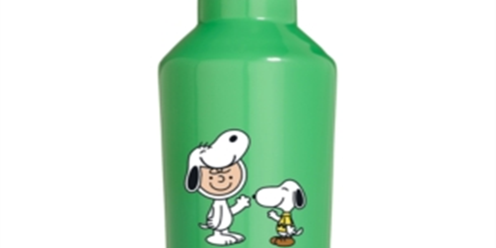 Cantil de aço inoxidável verde de 473 ml da Peanuts Collection Snoopy &amp; Charlie Brown, tamanho único