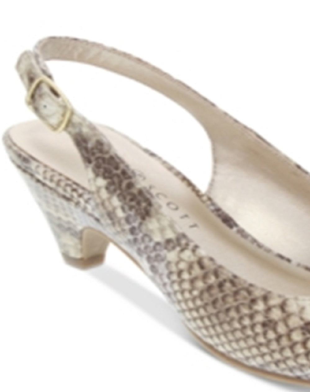 Karen Scott Feminino Amberr Snakeskin Open Toe Formal Ankle Snake Marrom Tamanho 5,5 M