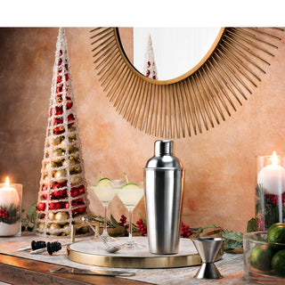 Conjunto de coqueteleira de aço inoxidável com 7 peças 