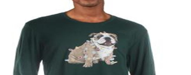 Camiseta masculina com estampa de buldogue natalino, tamanho extragrande, verde, Club Room