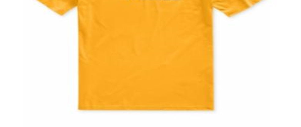 Camiseta The North Face Masculina Half Dome com Logo Amarelo Tamanho P