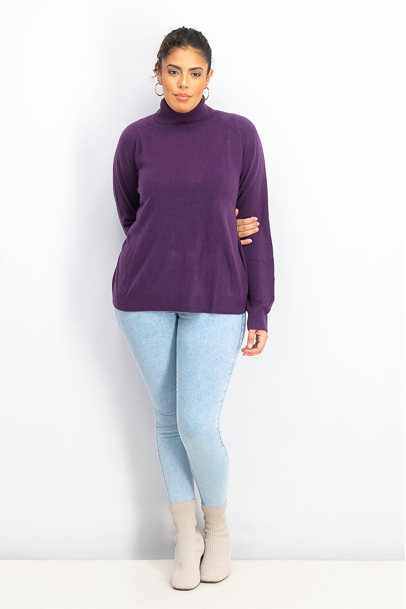 Karen Scott Suéter Feminino Luxsoft Gola Alta Roxo Tamanho Pequeno Grande