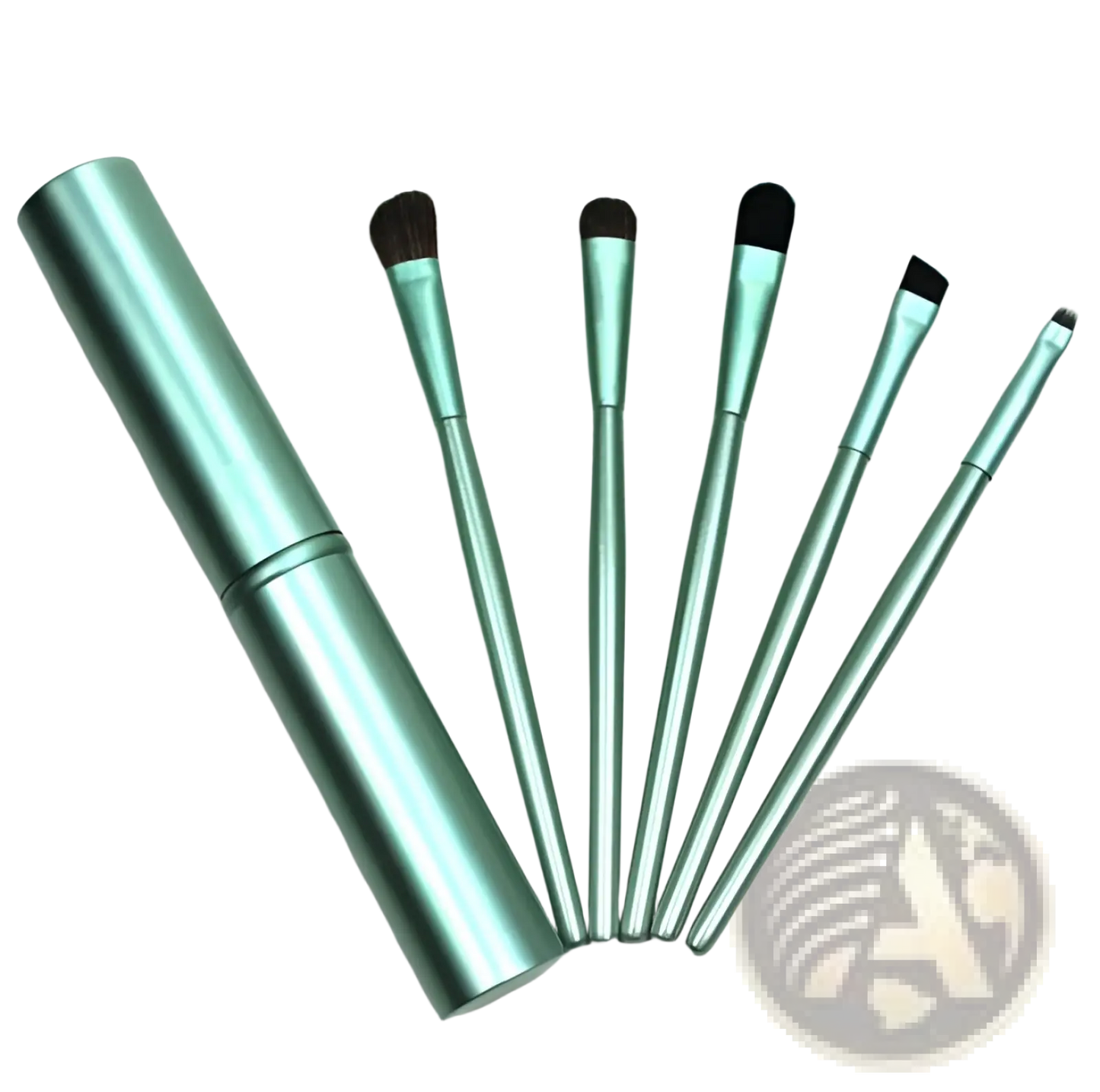 Travel Eye Makeup Brush Set with Portable Case