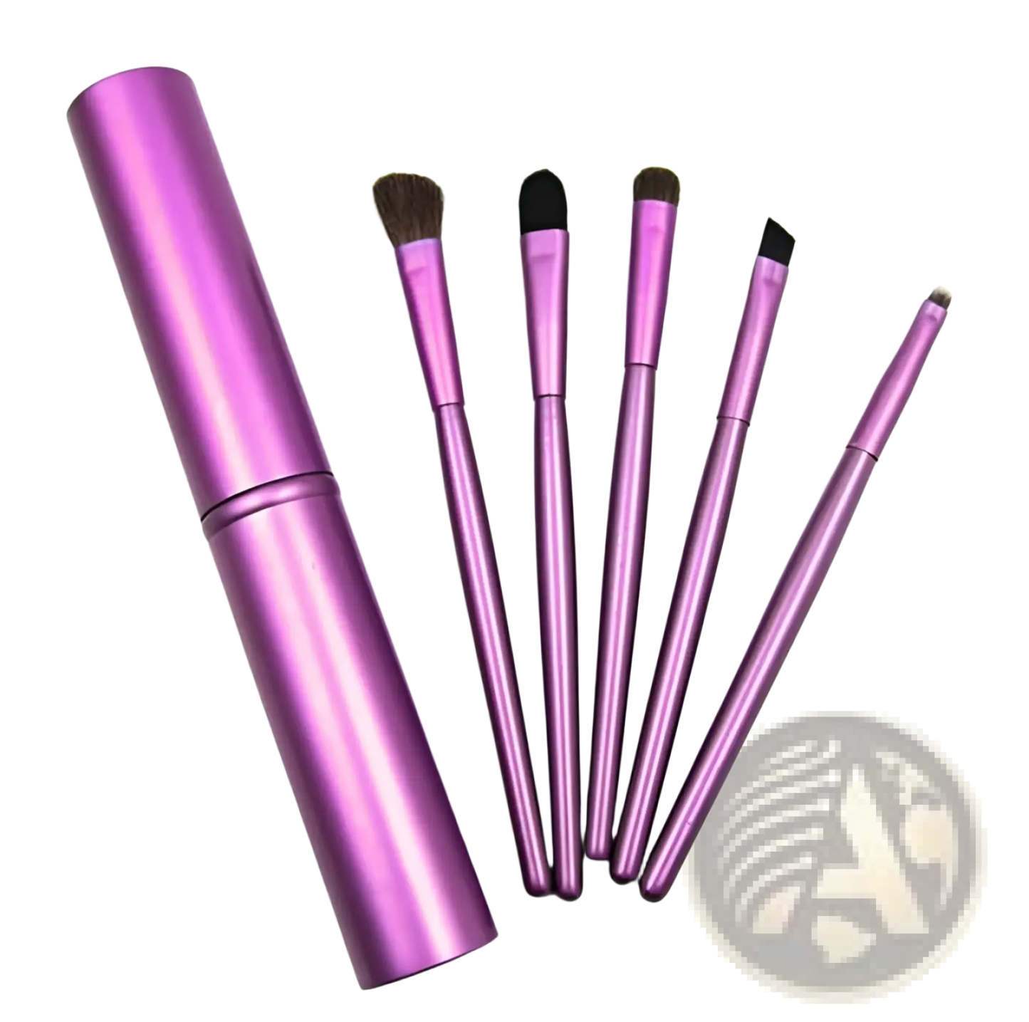 Travel Eye Makeup Brush Set with Portable Case