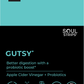 Soul Strips Gutsy Vegan Sem Açúcar Sabor Mirtilo 30 Tiras